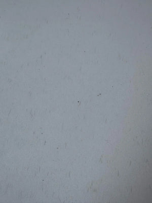 Abd9ca619516049a58b0b811c9365188f0.jpg